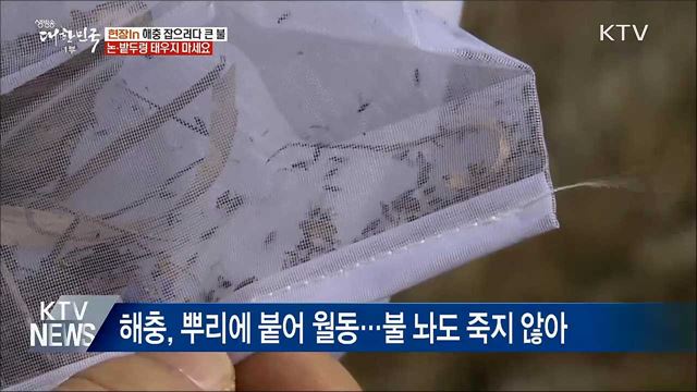 논·밭두렁 태워 해충 잡으려다 '큰불' [현장in]