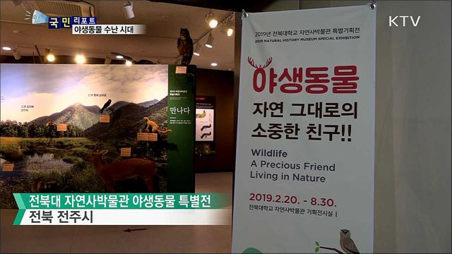 위기에 빠진 야생동물 수난 '위험수위'