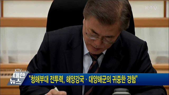 "청해부대 전투력, 해양강국·대양해군의 귀중한 경험"