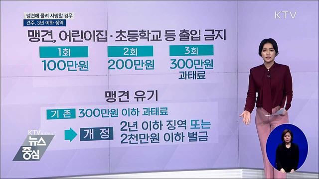 맹견에 물려 사망 시 견주 3년 이하 징역