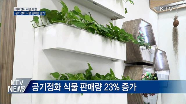 미세먼지 저감 식물 판매량 23% 증가