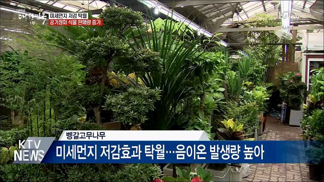 미세먼지 저감 식물 판매량 23% 증가