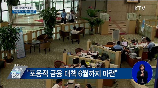 靑 "경제 하방위험 커져···확장적 거시정책 필요"