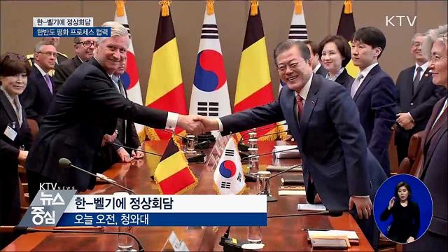 한-벨기에 정상회담···한반도 평화 프로세스 협력