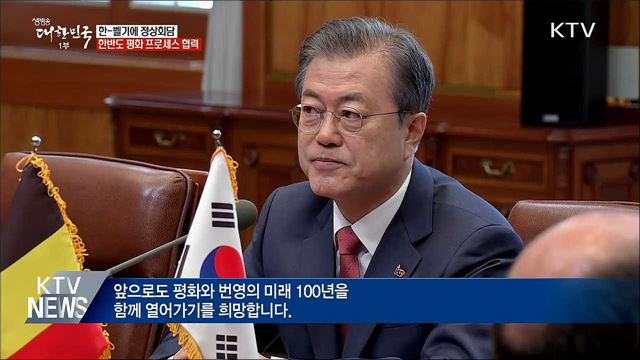 한-벨기에 정상회담···한반도 평화 프로세스 협력