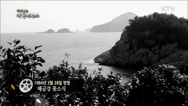 다시보는 대한늬우스 (84. 3. 28)