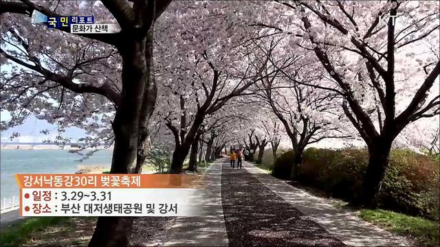 이주의 문화가 산책 (19. 3. 28. 7시)