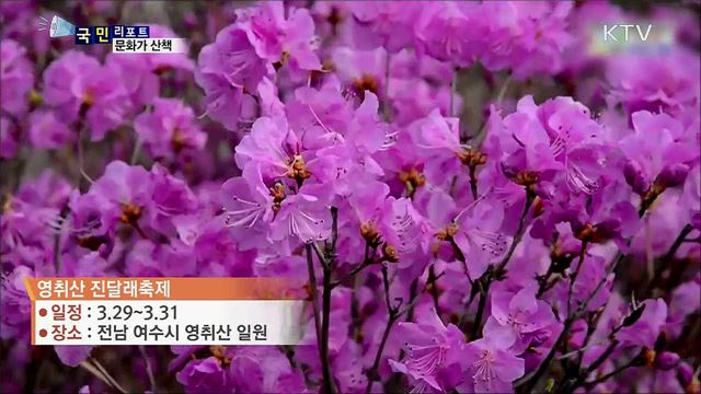 이주의 문화가 산책