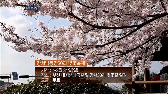 문화브리핑 (19. 03. 29. 16시)