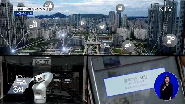 금융분야 '규제 샌드박스' 도입···19건 우선 심사