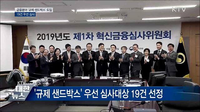 금융분야 '규제 샌드박스' 도입···19건 우선 심사
