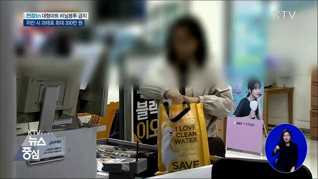 일회용 비닐봉투 사용금지···위반하면 과태료 [현장in]