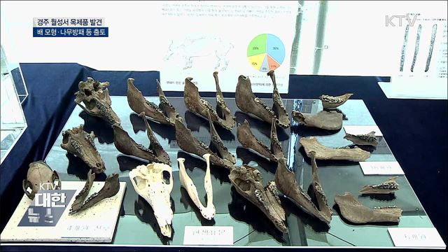 '신라 왕궁' 경주 월성서 목제품 다수 출토