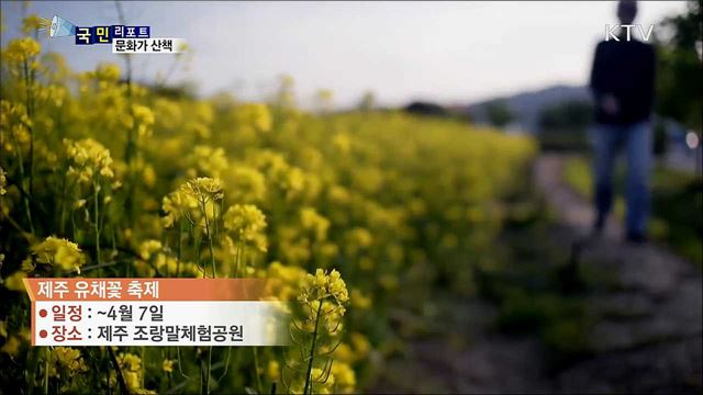 이주의 문화가 산책 (19. 04. 04. 7시)