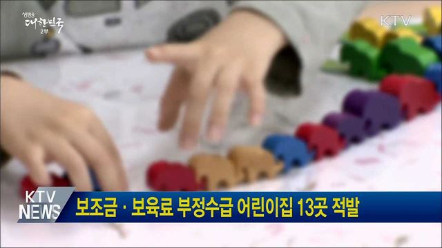 보조금·보육료 부정수급 어린이집 13곳 적발