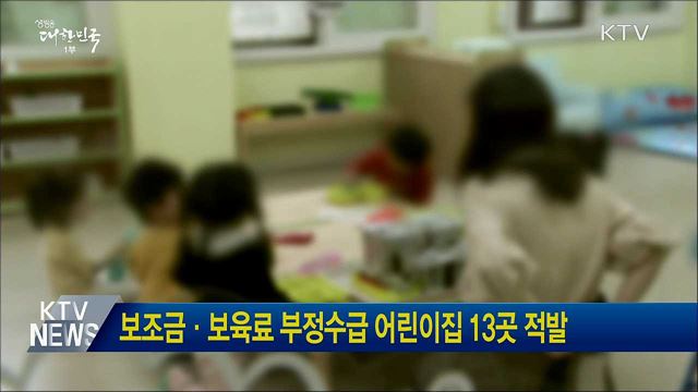 보조금·보육료 부정수급 어린이집 13곳 적발