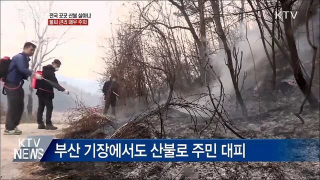 건조하고 강풍 지속···전국 산불 '비상'