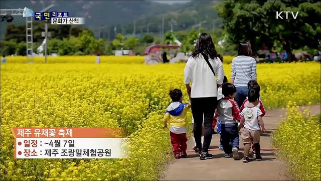 이주의 문화가 산책