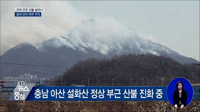 건조하고 강풍 지속···전국 산불 '비상'