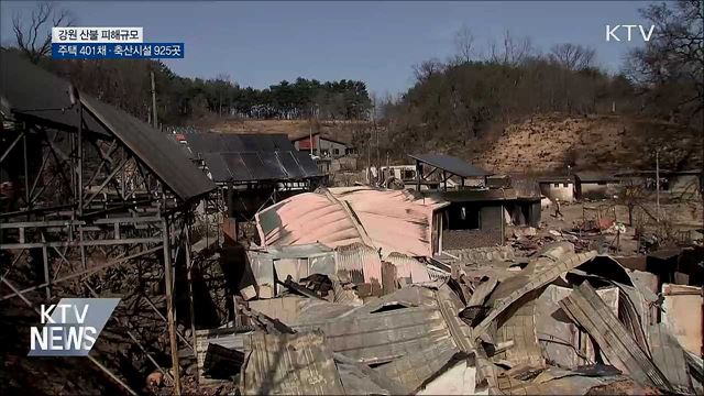 강원 산불 피해 '주택 401채·축산시설 925곳'