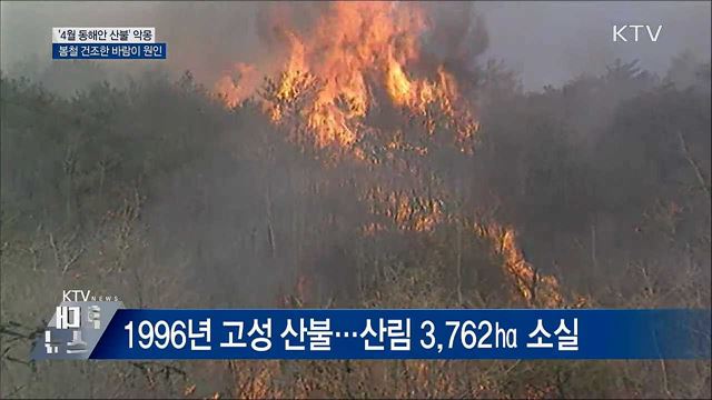 '4월의 악몽'···역대 동해안 산불은?