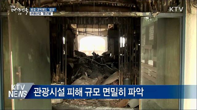 봄철 대목에 '썰렁'···"강원도 찾아주시면 큰 힘"