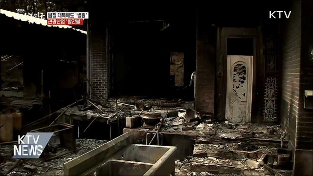 봄철 대목에 '썰렁'···"강원도 찾아주시면 큰 힘"