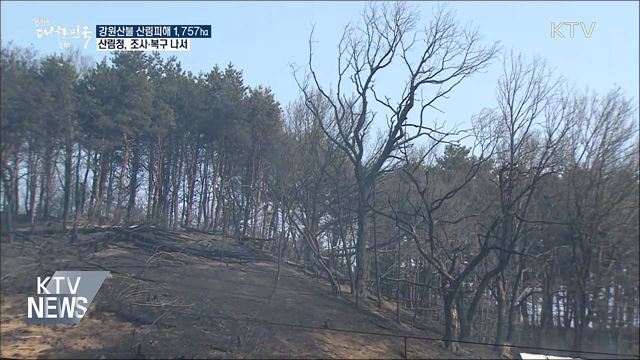 강원산불 산림피해 1,757㏊···조사·복구 착수
