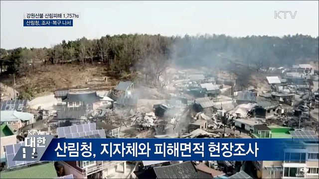 강원산불 산림피해 1,757㏊···조사·복구 착수
