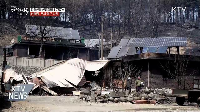 강원산불 산림피해 1,757㏊···조사·복구 착수