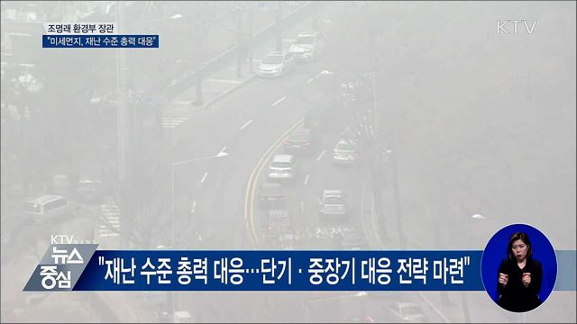 "미세먼지 시즌제 검토···재난 수준 총력 대응"