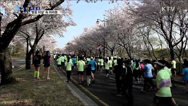 '벚꽃 터널' 마라톤 성황···외국인 감탄 연발