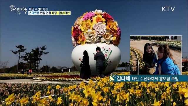 화려한 수선화 향연···태안 수선화축제