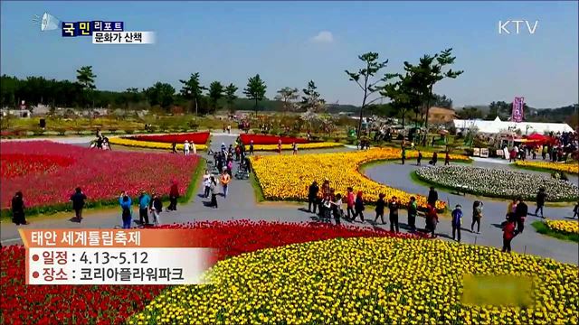 이주의 문화가 산책