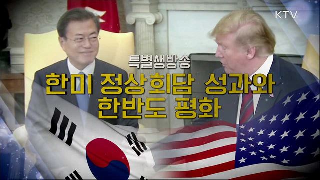 한미 정상회담 성과와 한반도 평화