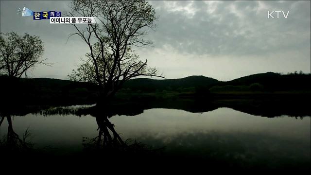 어머니의 품 우포늪 [한국의 美]