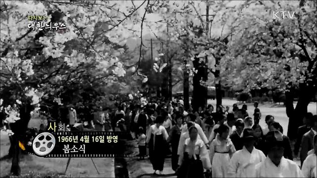 다시보는 대한늬우스 (66. 4. 16)