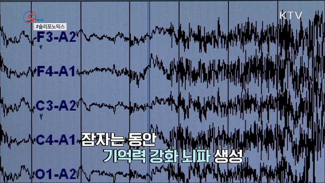 꿀잠을 팝니다 '슬리포노믹스' [S&News]