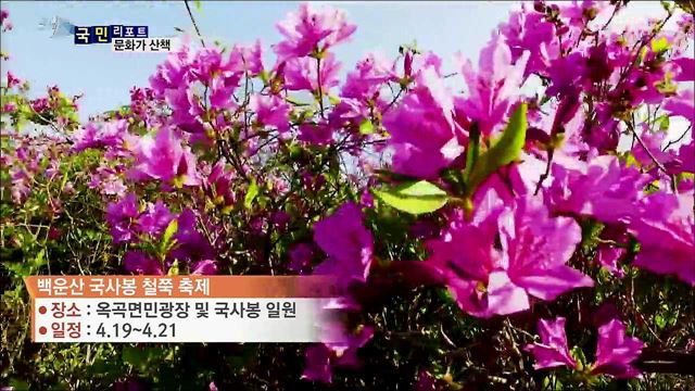 이주의 문화가 산책 (19. 04. 18. 7시)