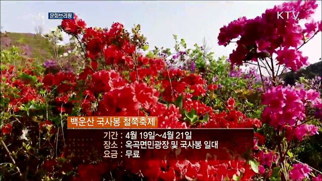 문화브리핑 (19. 04. 19. 16시)