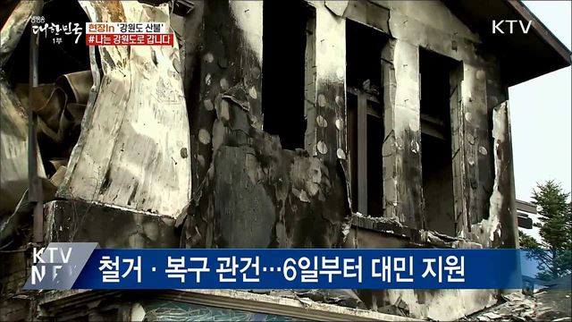 잿더미 뚫고 싹트는 희망···#나는 강원도로 갑니다 [현장in]