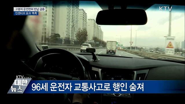 고령자 운전면허 반납 급증···인센티브 효과 '톡톡'