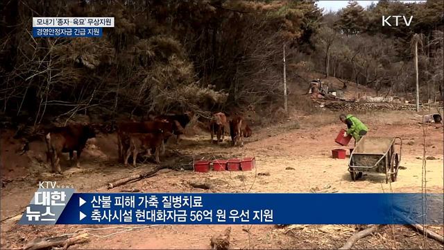 강원 산불 피해지역 '볍씨·자금·일손' 긴급 지원