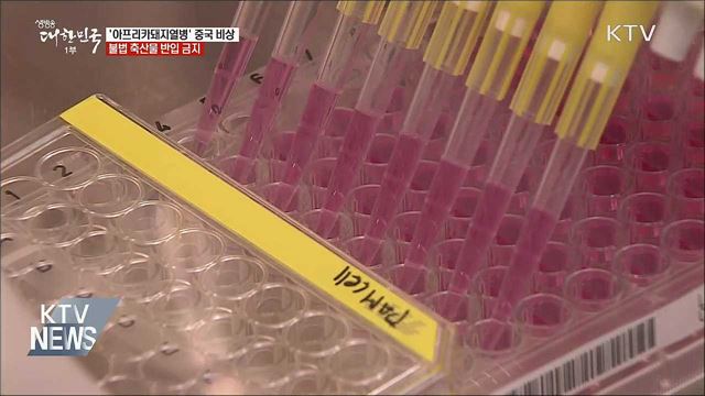 '아프리카돼지열병' 중국서 비상···불법 축산물 반입 금지