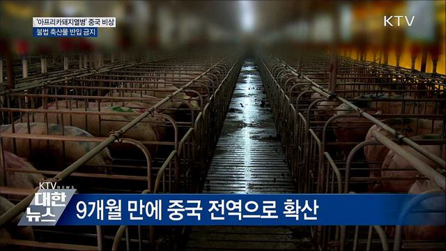 '아프리카돼지열병' 중국서 비상···불법 축산물 반입 금지