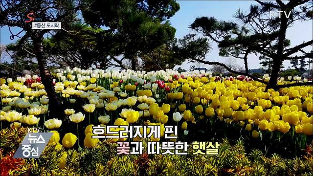 친환경 별미 '등산 도시락'이 뜬다 [S&News]