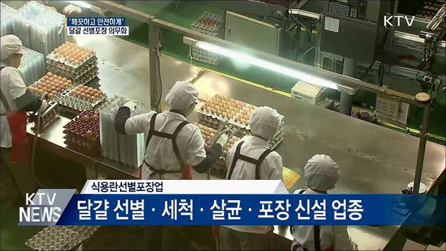 '깨끗하고 안전하게'···달걀 선별포장 의무화