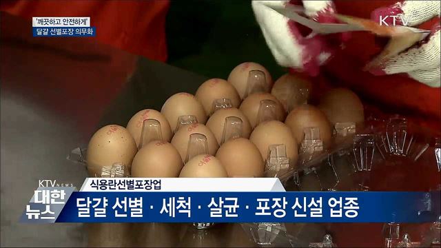 '깨끗하고 안전하게'···달걀 선별포장 의무화