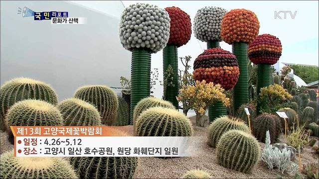 이주의 문화가 산책