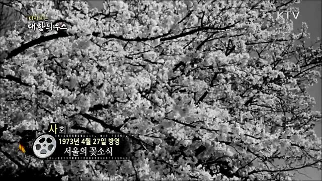 다시보는 대한늬우스 (73. 4. 27)